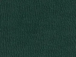 NAS1259 DARK GREEN