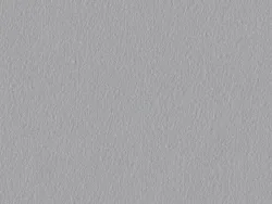SSR7173 GRIS