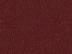 SXS5250 MAROON