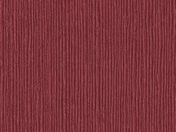 NAB2026 BURGUNDY