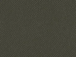 SXM6012 MILITARY GREEN