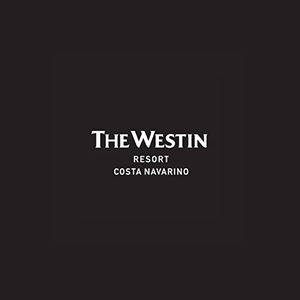 the wstin new 1